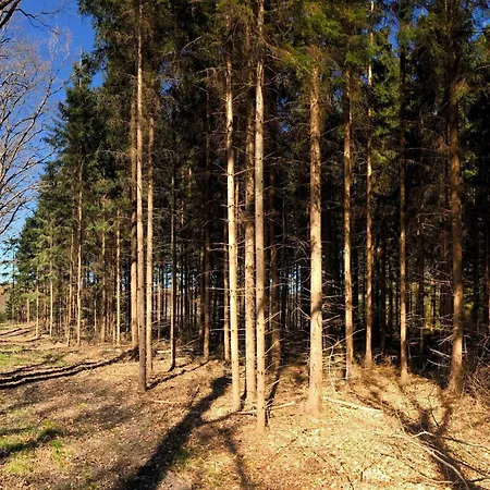 4 Person In Ferienhaus