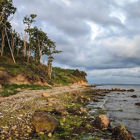 4 Person In Ferienhaus *